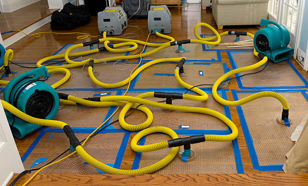 Professional Structural Drying And Dehumidification technician working in Polo, IL